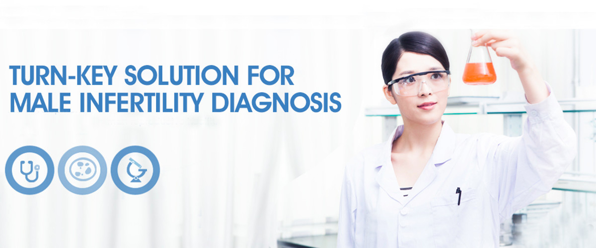 Zestaw do badania fragmentacji DNA plemników