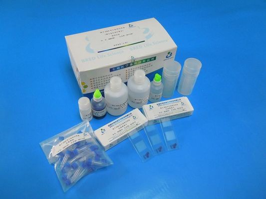 Zestaw badawczy Wright Stain Sperm DNA Fragmentation Test Kit z metodą SCD dla 40 testów/zestawu w laboratoriach andrologicznych