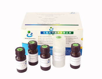 Kit to Evaluate Sperm DNA Integrity